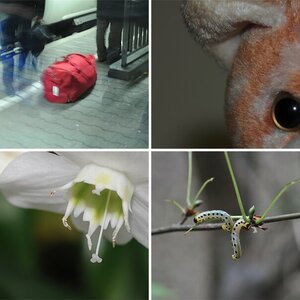 Meine Bilder