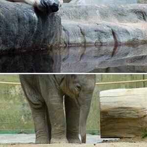 Zoo Hellabrunn