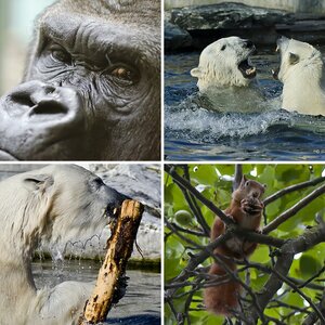 Bilder