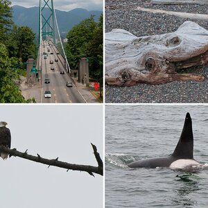 Kanada 2011
