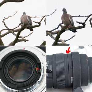 Zu viel Spiel Sigma 50-500 APO DG HSM