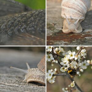 Erste Macro-Aufnahmen