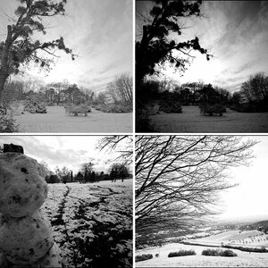 November