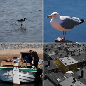 Helgoland