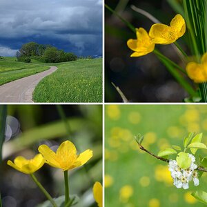 Natur im Frühling