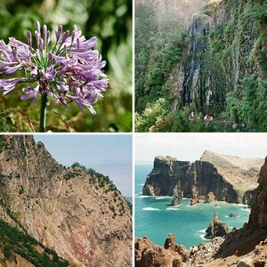 Madeira von grhe6715