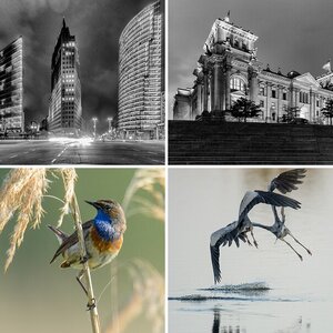 Best of Threads - Die Fotos