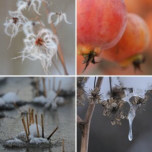 Natur II