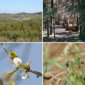 Natur pur