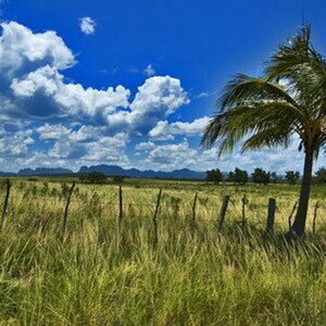Cuba