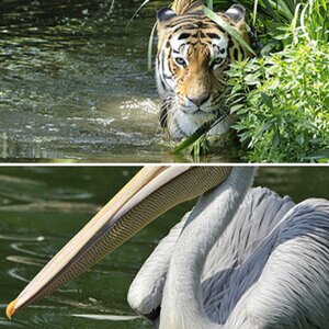 Zoo Duisburg