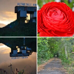 erste Bilder