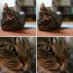 Testbilder