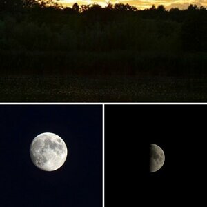 BSP