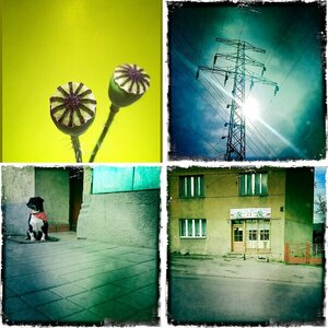 Smartphone Bilder