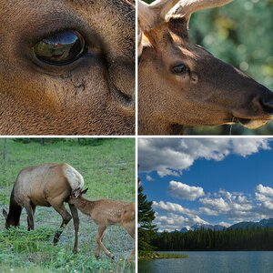 Banff und Jasper