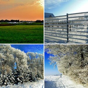 Winter 2010