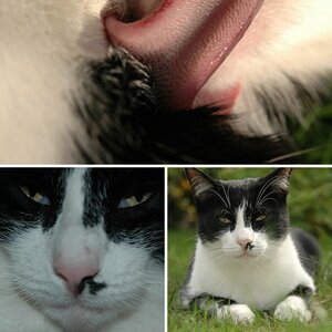 Mau : Stinki & Rollo  :-)