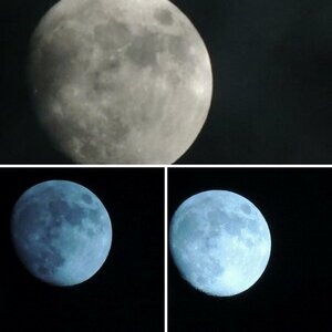 Der Mond