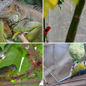 Tierpark