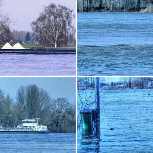 Hochwasser am Rhein
