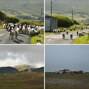 Irland 2011 - 2