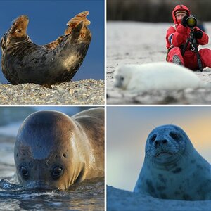 Helgoland, Dezember 2012