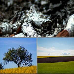 Landschaft