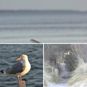 Usedom