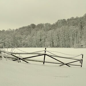 Winter im Neandertal