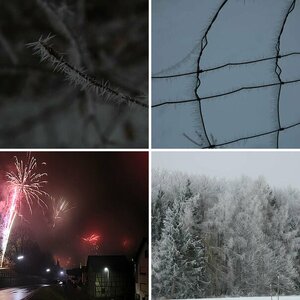 Winterland