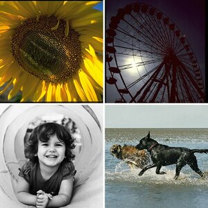 ANALOGES