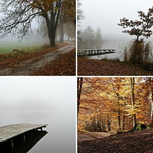 Natur u. Landschaft VI