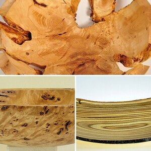 holz