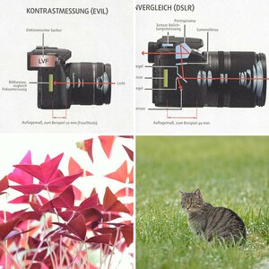 Nikon D7000 Glücksspiel