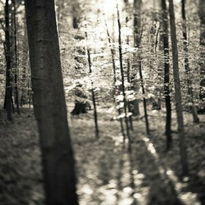 Landschaft