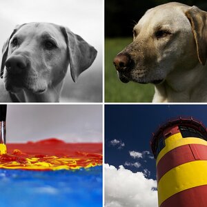 Meine Bilder