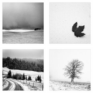 Black_and_White