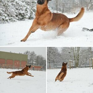 gestern im Schnee