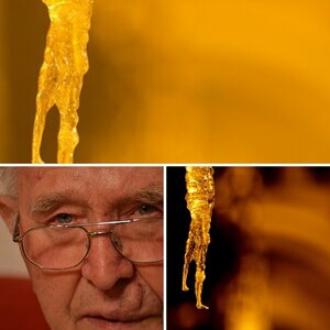 Erste für mich akzeptablen Fotos