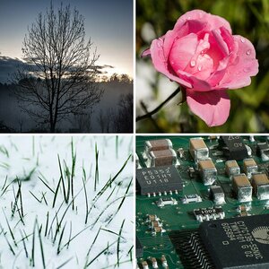 Various Things