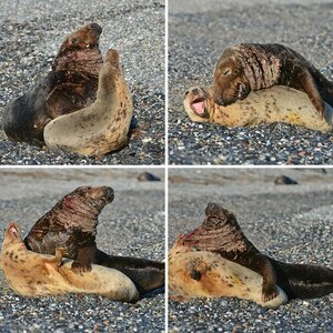 Helgoland Weihnachten 2012 I