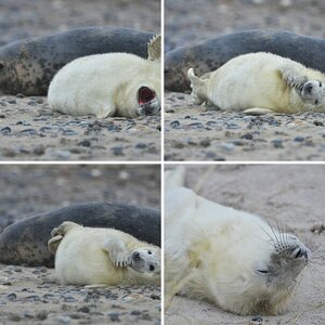 Helgoland Weihnachten 2012 II