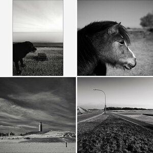 Texel 2