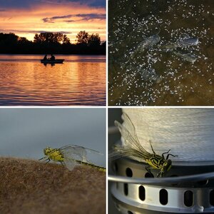 @ fishing