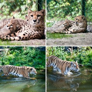 Zoo Wuppertal