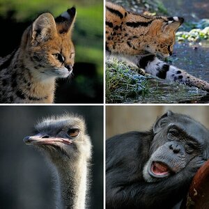 Zoo Krefeld