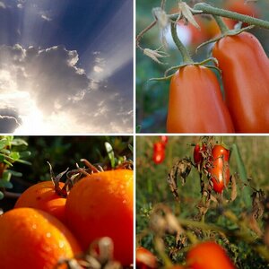 italien 10