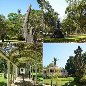 Rio de Janeiro - Jardim Botanico