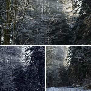 Stille